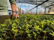 Kwekerijenloop verhuist!