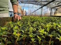 Kwekerijenloop verhuist!