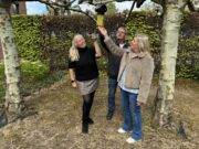 Wij werken samen aan beheersing van de geelpoothoornaar