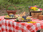 Voedselbos ‘t Oekel