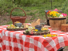 Voedselbos ‘t Oekel