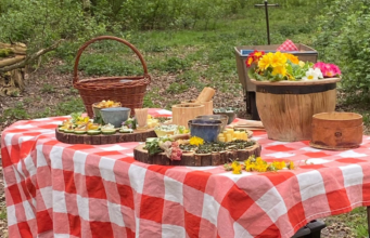 Voedselbos ‘t Oekel