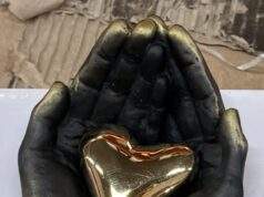 Zonnebloem Rijsbergen