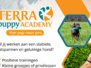 Nieuw: Puppy Academy bij Terra Agility & Fitness!