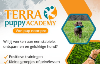 Nieuw: Puppy Academy bij Terra Agility & Fitness!