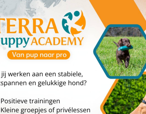 Nieuw: Puppy Academy bij Terra Agility & Fitness!