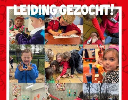 Leiding gezocht