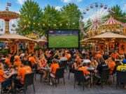 Groot scherm NEDERLAND-ZWEDEN