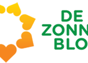 Zonnebloem Rijsbergen