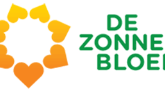 Zonnebloem Rijsbergen