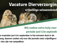 VRCZ: Vrijwilligers gezocht