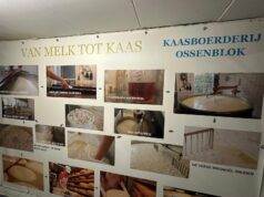 Stichting met je Hart Zundert: uitje Kaasboerderij Ossenblok!