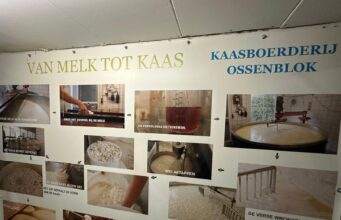 Stichting met je Hart Zundert: uitje Kaasboerderij Ossenblok!