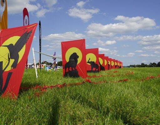 3e Weekend van Augustus: Rijsbergse Vliegerdagen