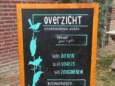 Bericht van Vogelrevalidatiecentrum Zundert