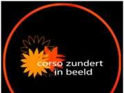 Corso Zundert in Beeld
