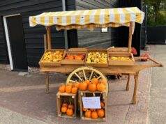Kinderboerderij de Leijhoeve Rijsbergen