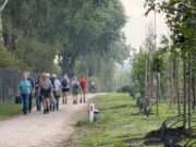 Herfstwandeltocht DJA