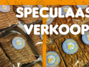 Scouting Rijsbergen